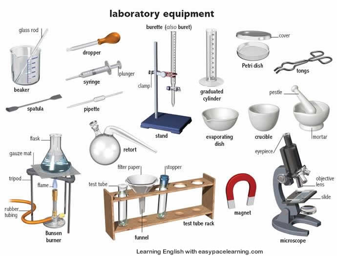 Laboratory Equipment Learning The Vocabulary L