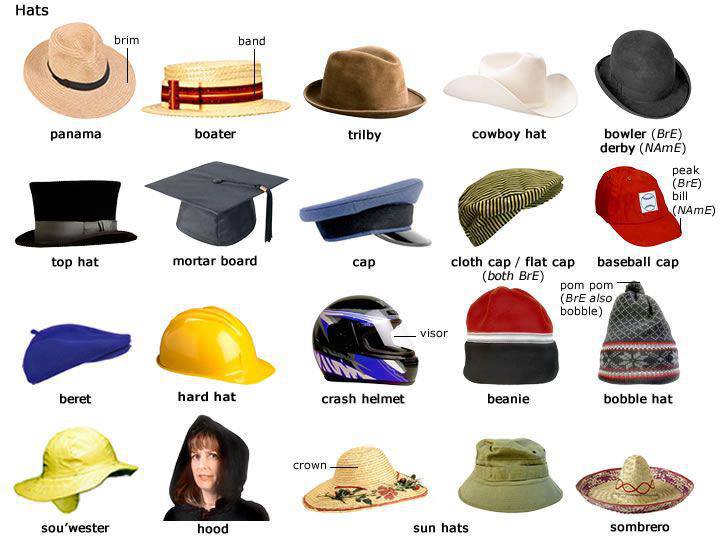 Quick visual glance to different types of hats and caps