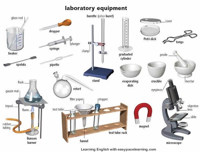 Laboratory equipment learning the vocabulary l
