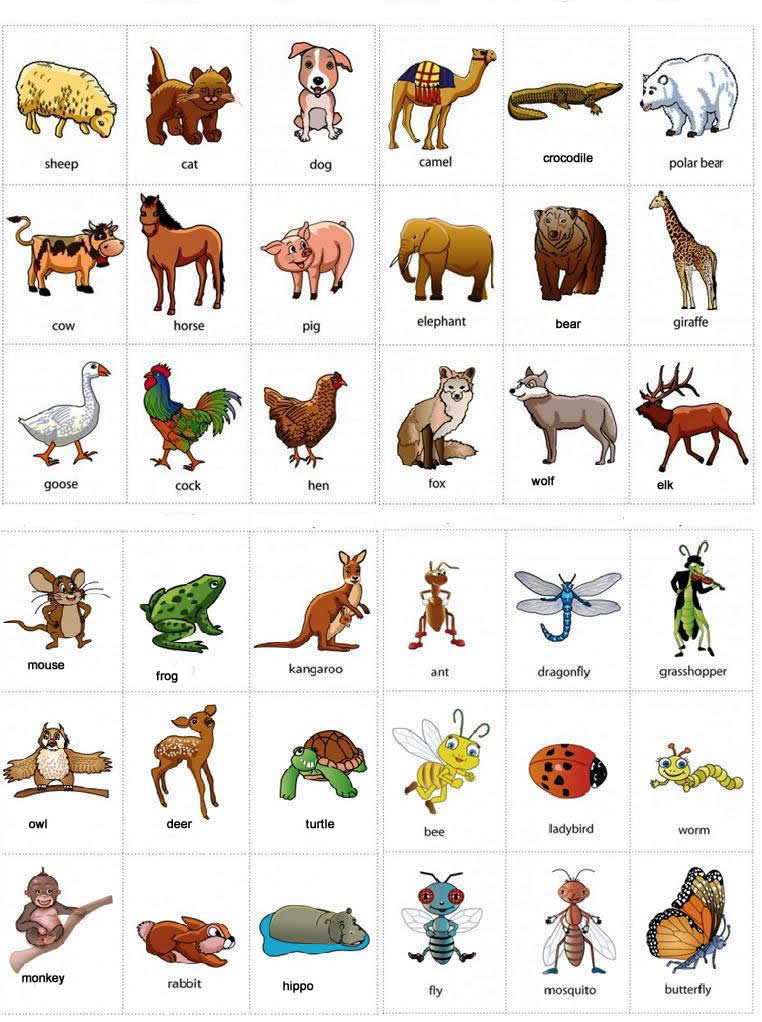 animals-names-with-pictures-learning-english