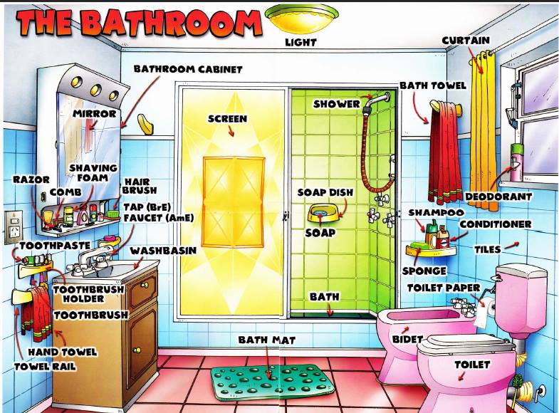 Learning Bathroom Items With English Words Pictures